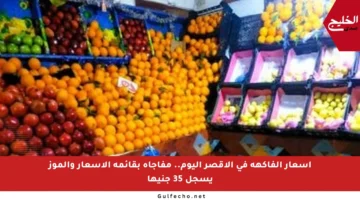 أسعار الفاكهة في الأقصر اليوم.. مفاجأة بقائمة الأسعار والموز يسجل 35 جنيها